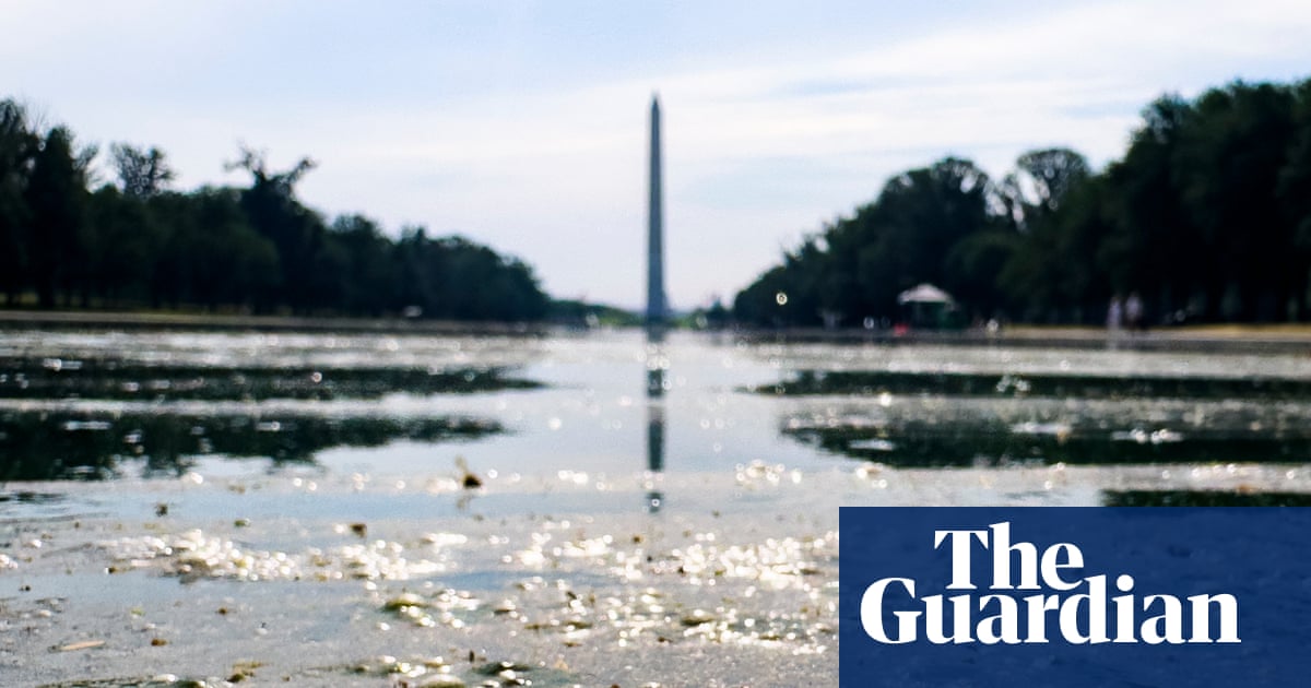 It’s not easy being green: Trump’s botched reflecting pool becomes 2,028ft metaphor | Donald Trump