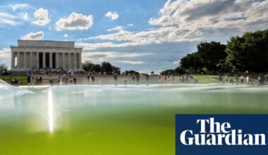 Algae thwarts Trump’s $14.2m attempt to turn reflecting pool ‘American flag blue’ | US news