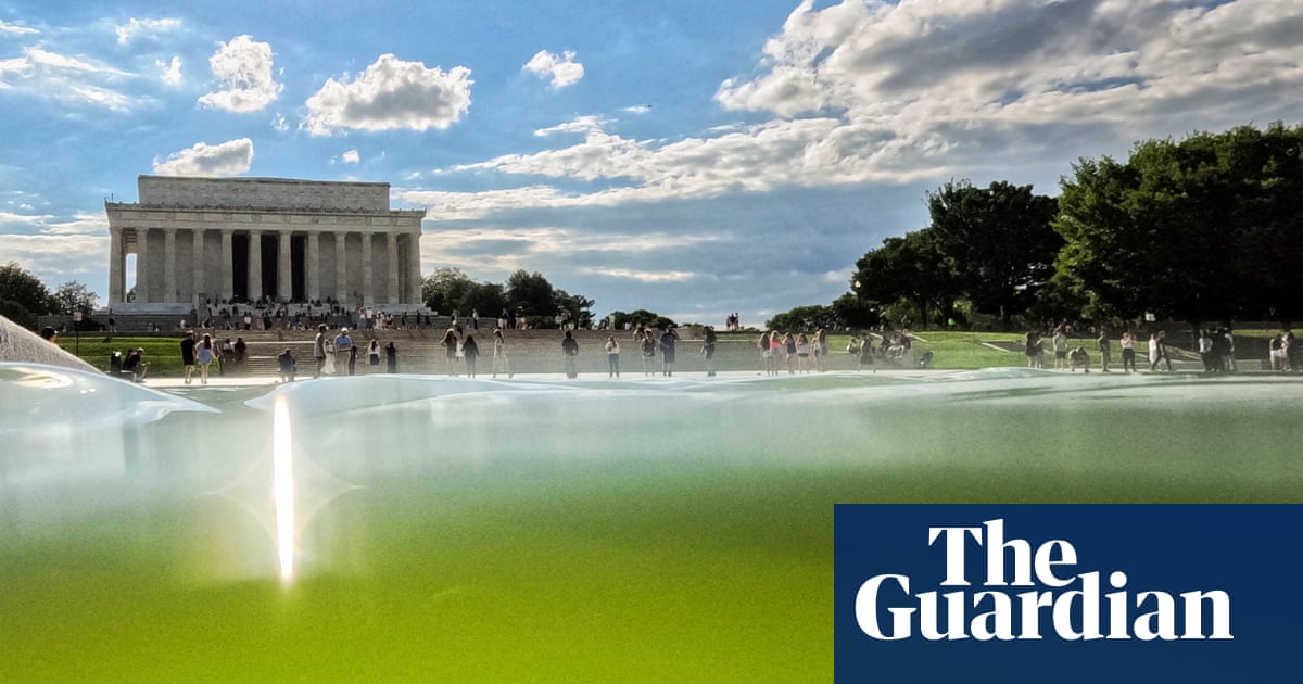 Algae thwarts Trump’s $14.2m attempt to turn reflecting pool ‘American flag blue’ | US news