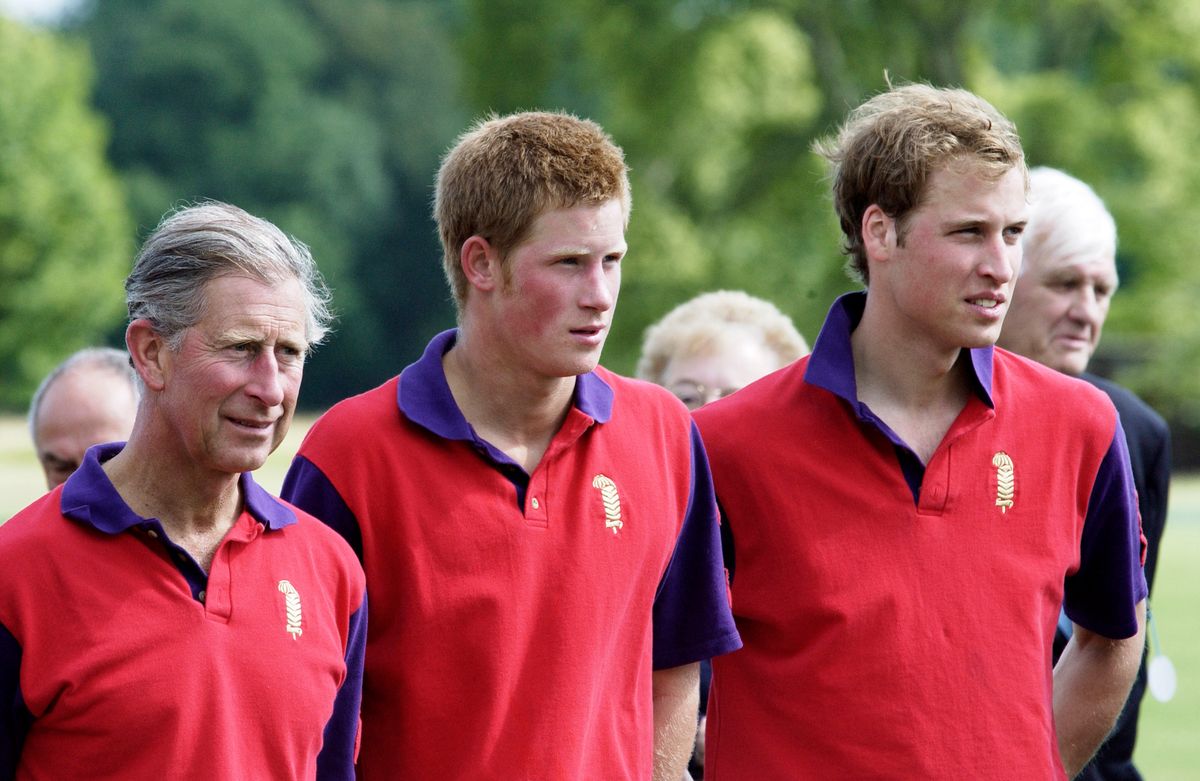 King Charles, Prince Harry And Prince William