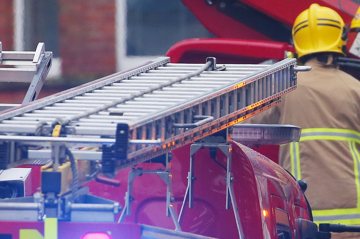 NIFRS stock