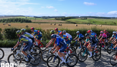 Several road cyclists dressed in various colours of lycra and helmets are all cycling down a country lane next to a field full of hay bales, with rolling fields behind it.