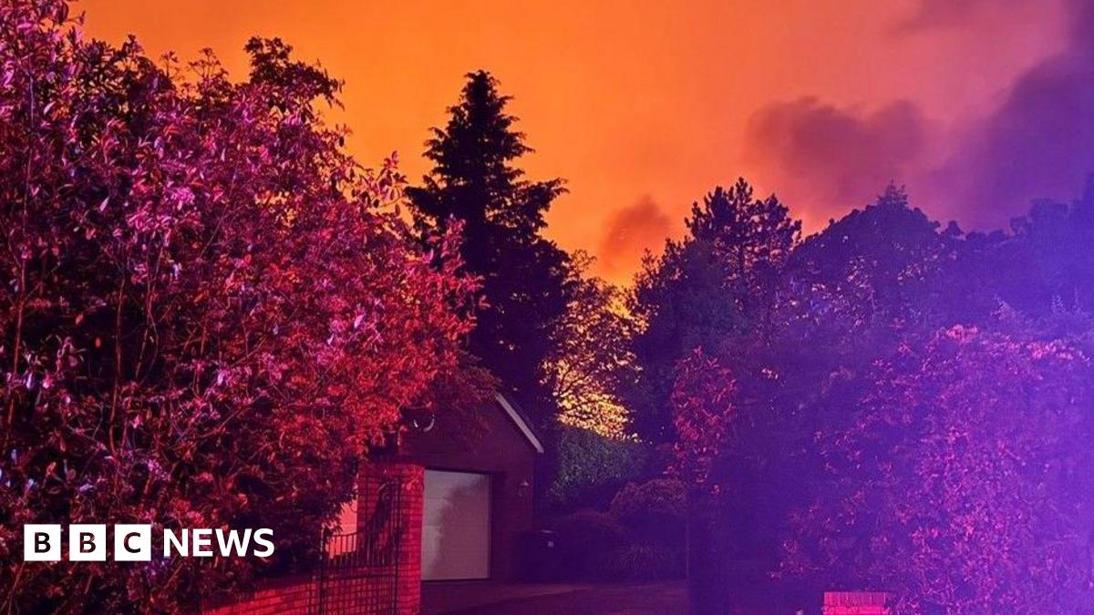A building on fire, seen between the gaps of trees in the distance