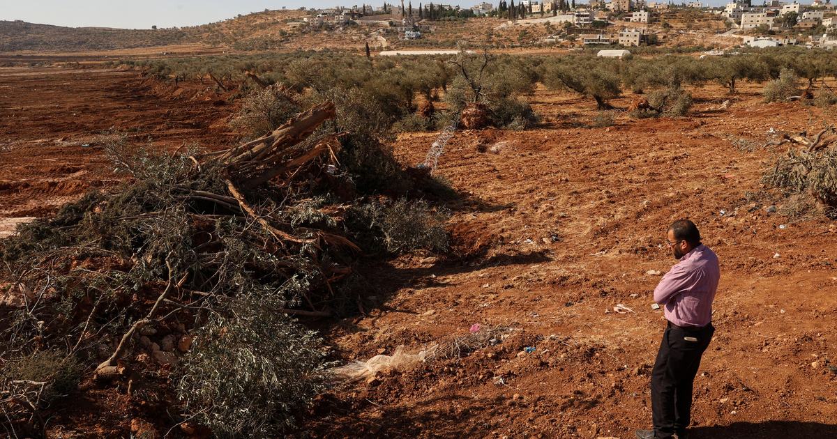 UK: Stop the 'Great Israeli Real Estate Event' - Israel is ethnically cleansing Palestinians while stolen land is being sold in London