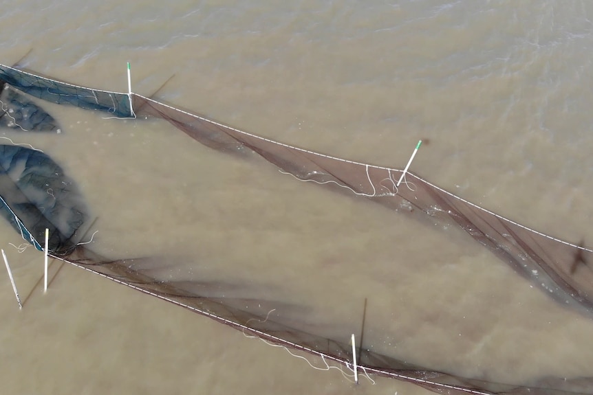 A bird's-eye view of a fish net in muddy water.