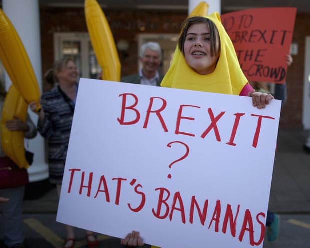 A woman with an anti-Brexit sign