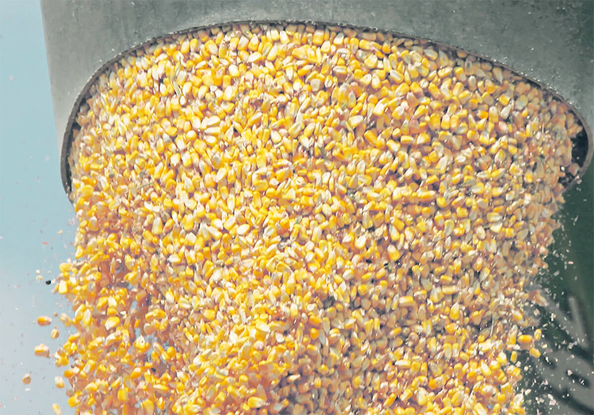 Lagging demand growth means ag at dangerous crossroads: report