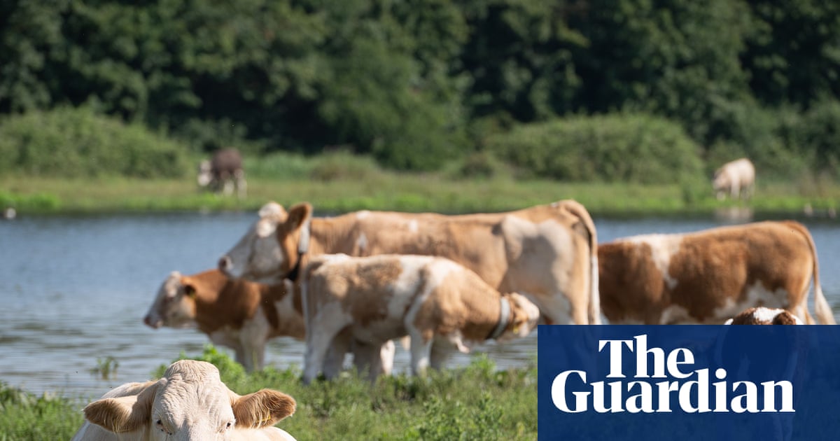 Farmers criticise government plan to counter threats to UK food security | Environment