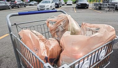 Plastic bags don't go in the recycling bin. What should you do instead?