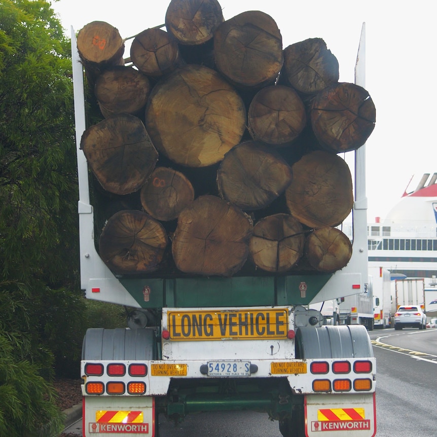 A semi-trailer loaded with logs in a traffic lane approaching a port. The large Spirit of Tasmania ship is in front of it.