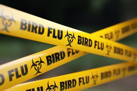 Bird Flu Quarantine Tape Barrier Before Defocused Background - stock photo