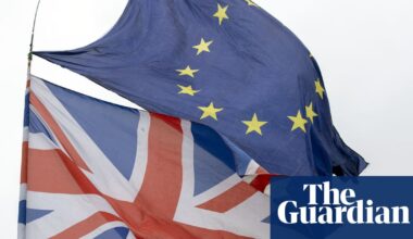 Lib Dems to urge Labour to drop ‘torpor and timidity’ on EU and rejoin single market | European Union