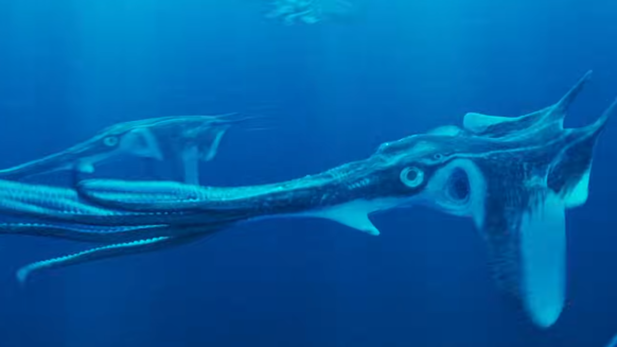 The Southern squidray, an alien squid-like creature from the movie Avatar: Fire &amp; Ash