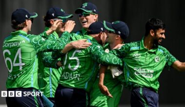 Ireland celebrate taking a wicket against India