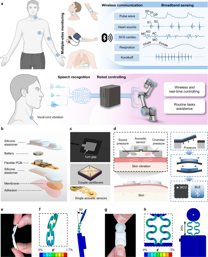 Fig. 1: Design and architecture of the AusculPatch system.