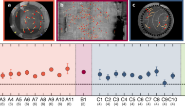 Individual locomotor bias drives counterclockwise motion in pedestrian crowds