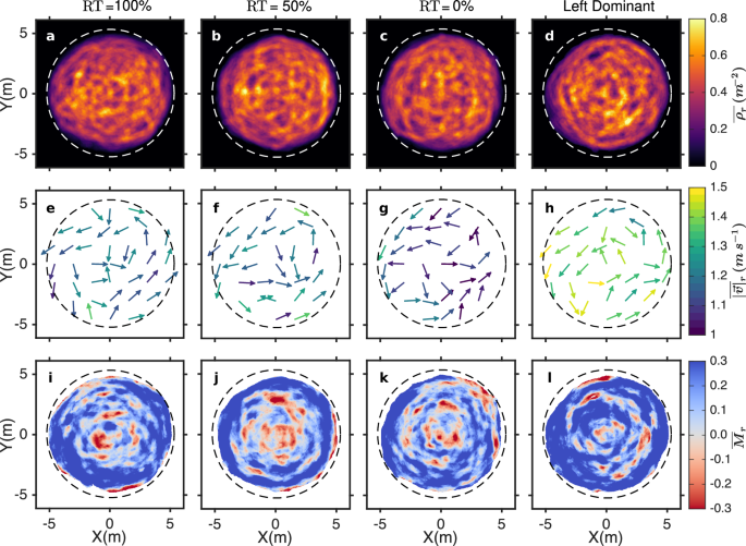 Fig. 3: Density, velocity and polarization fields for varying proportions of right-turners in the Spanish confined scenario.