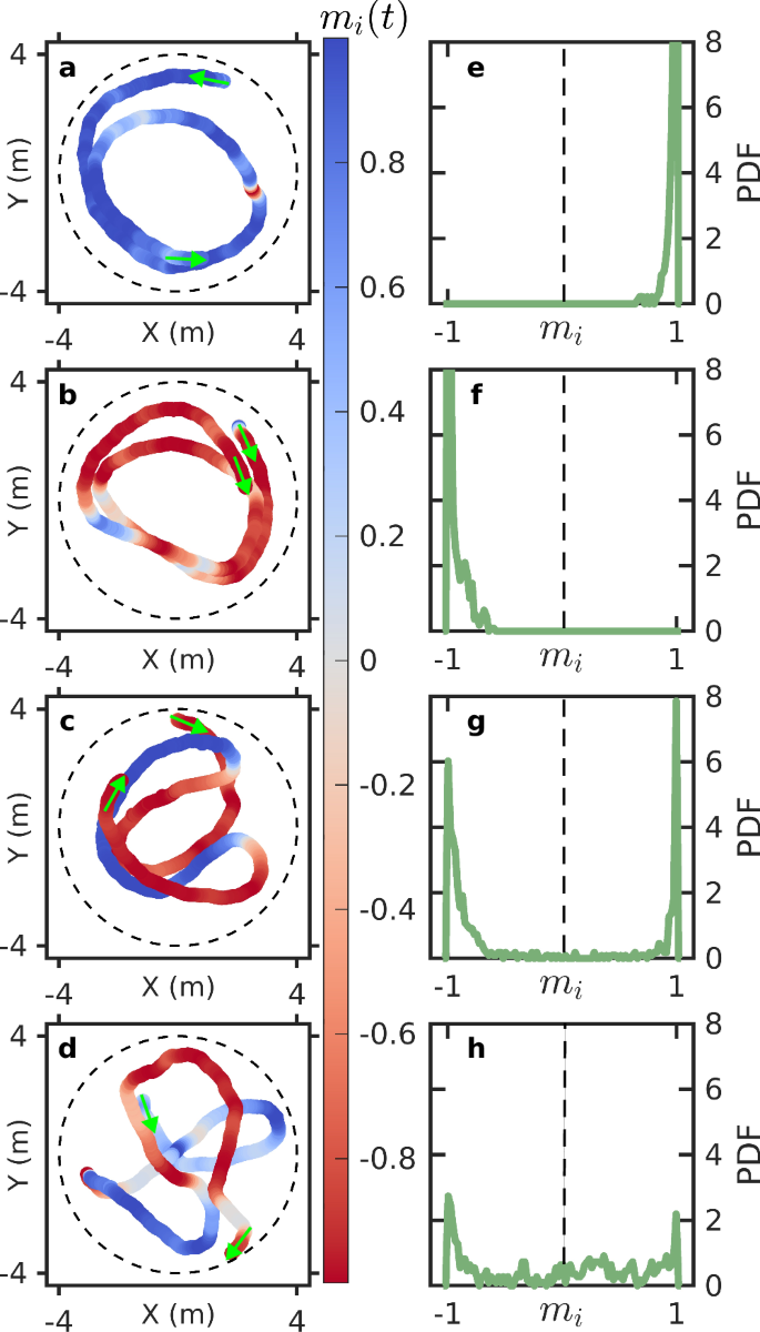 Fig. 6: Four representative cases of individual rotational behaviour during confined motion in Japan.