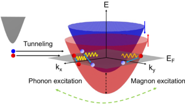 Observation of magnon polarons in the van der Waals itinerant ferromagnet Fe3GeTe2
