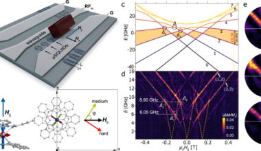 Topological suppression of quantum tunnelling in a lanthanide single-ion molecular magnet