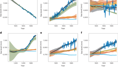 Human-driven sea-level rise has quadrupled the frequency of coastal sea-level extremes since 1900