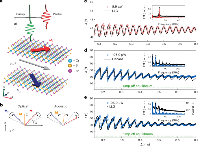 Excitonic spin torque in a magnetic semiconductor