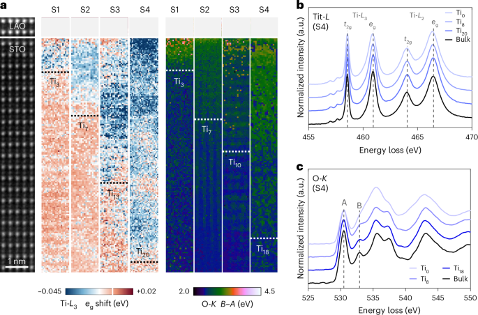 Electron–phonon coupling and symmetry breaking in superconducting oxide interfaces near ferroelectric quantum criticality