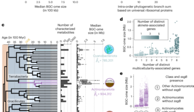 Complex multicellularity is linked with expanded specialized metabolite production in microorganisms