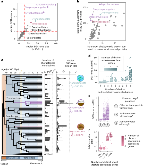 Complex multicellularity is linked with expanded specialized metabolite production in microorganisms