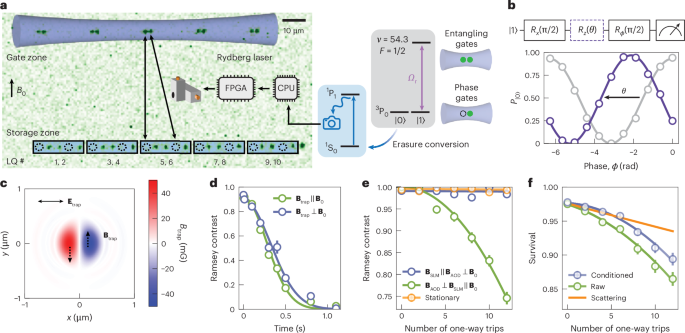 Logical qubits with erasure conversion using metastable neutral atoms