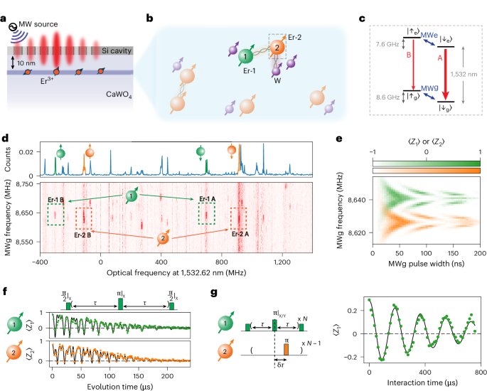Coherent control of interacting solid-state spins below the diffraction limit