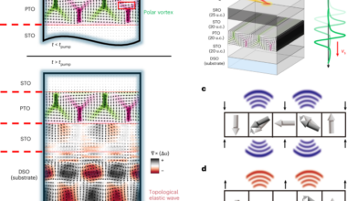 Nanoscale strain wave generation by a piezoelectric grating from polar vortices