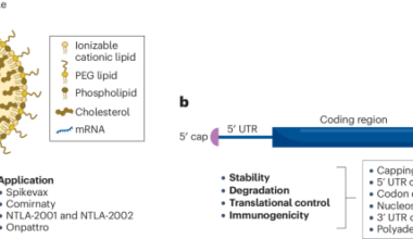 Towards mRNA therapeutics 2.0 | Nature Reviews Drug Discovery