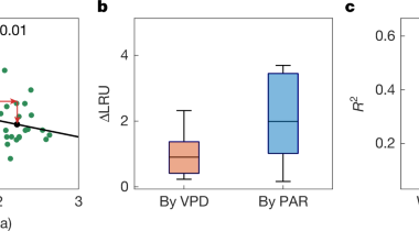 Reply to: The size of tropical vegetation gross primary production