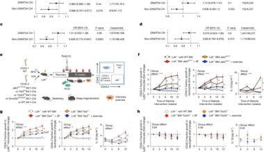 Mutation-dependent responses to sleep and exercise in clonal haematopoiesis