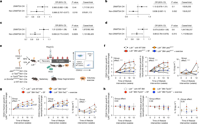 Mutation-dependent responses to sleep and exercise in clonal haematopoiesis