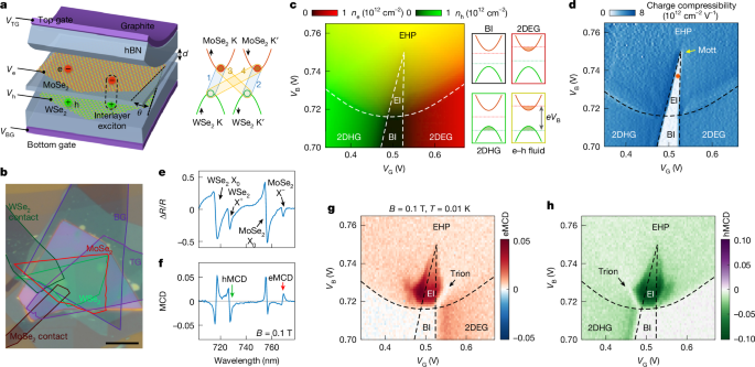 Two-component exciton condensates in an electron–hole bilayer