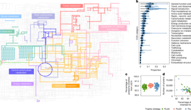 Gene ancestries reveal diverse microbial associations during eukaryogenesis