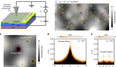 Visualizing the impact of quenched disorder on 2D electron Wigner solids