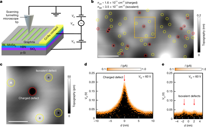 Visualizing the impact of quenched disorder on 2D electron Wigner solids