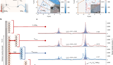 Optical cooling by interfacial charge transfer in 2D heterostructures