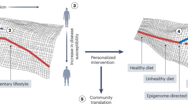 The promise of adaptive health in the United Arab Emirates and beyond