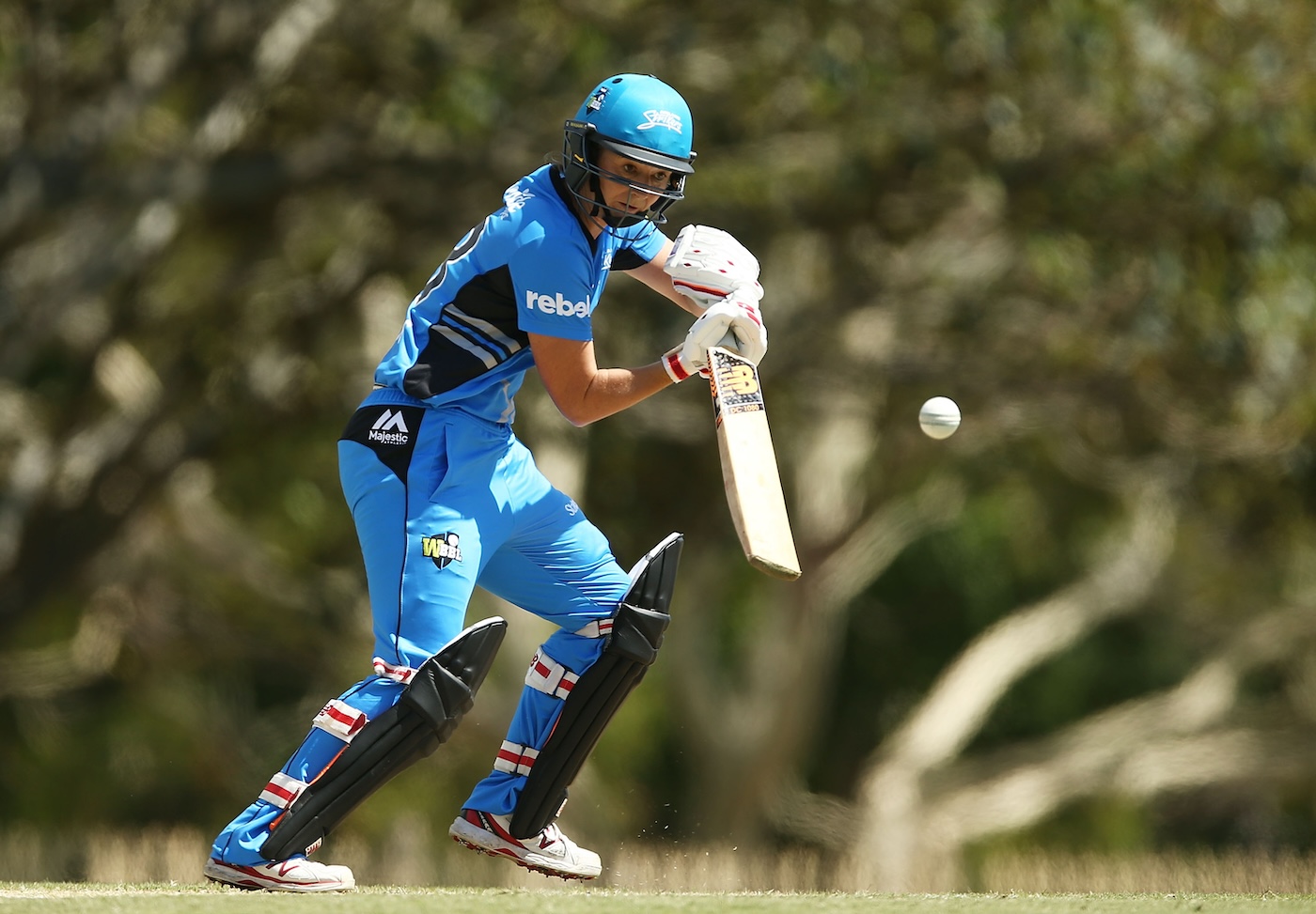 Edwards bats for Adelaide Strikers in the 2016-17 WBBL. She went on to coach Sydney Sixers after hanging up her playing boots Edwards bats for Adelaide Strikers in the 2016-17 WBBL. She went on to coach Sydney Sixers after hanging up her playing boots