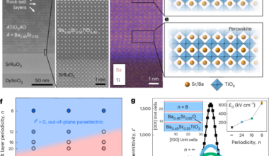 Breaking symmetry yields a low-loss out-of-plane tunable microwave dielectric