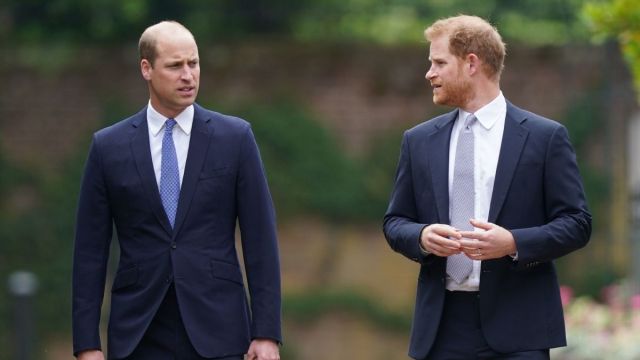 Prince Harry Warns Prince William Could Be ‘Nightmare’ King — Insider