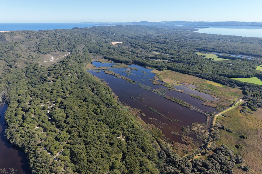 An aerial shot of a wetland area.