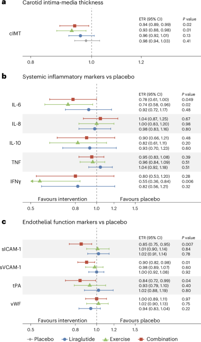 Effects of exercise and liraglutide on vascular health and inflammation during weight loss maintenance: a prespecified secondary analysis of the S-LiTE trial