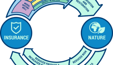 Advancing nature-based insurance to protect people and nature