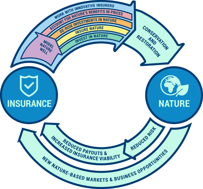 Advancing nature-based insurance to protect people and nature