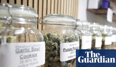 Cannabis commercialisation not decriminalisation drives up usage, study finds | Cannabis